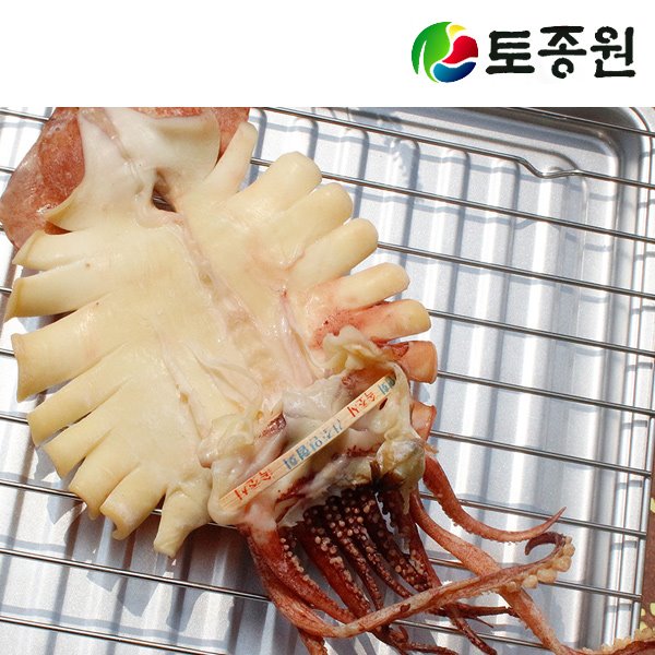 속초 당일바리 피데기 반건조오징어 대 5미 (몸통 24cm이상 750g이상)